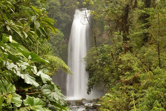  Private Shuttle Transportation Driver Costa Rica